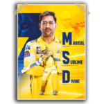 MS Dhoni V2