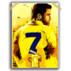 MS Dhoni V5