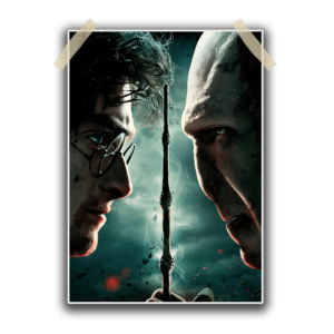 Harry Potter vs Voldemort